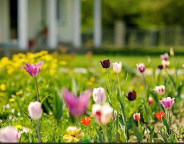 How to attract buyers this spring.